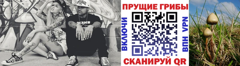 Купить закладки  Великий Устюг  Галлюциногенные грибы мухоморы 